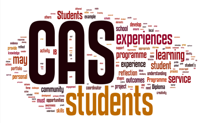 IB CAS Guide for Parents