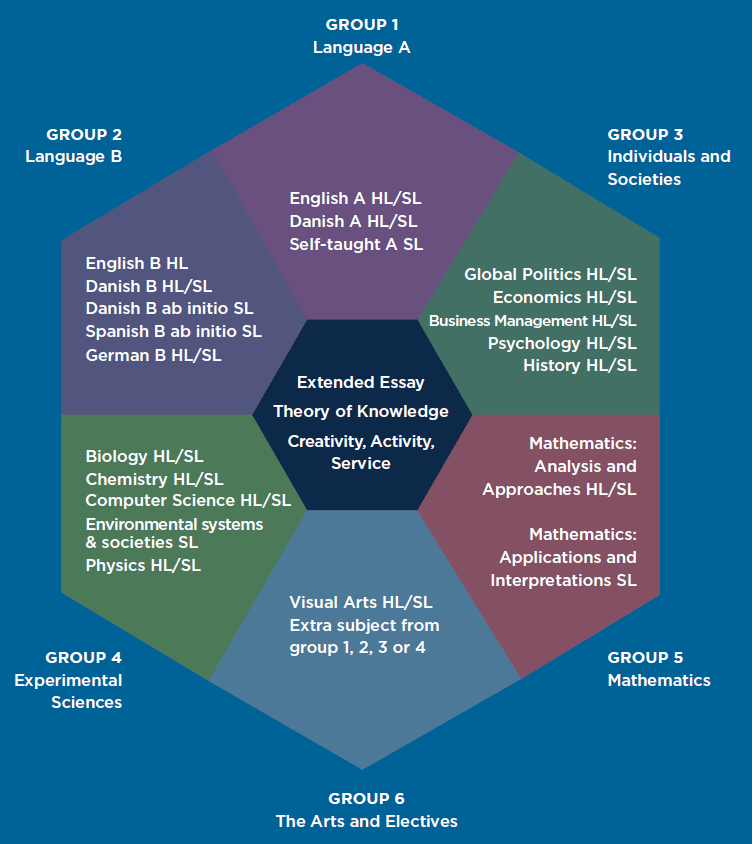 IB Subject Selection: The Complete Guide