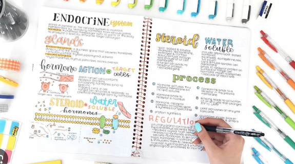 How to Take Effective IB Notes