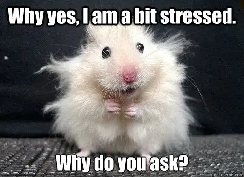 Stressed mouse