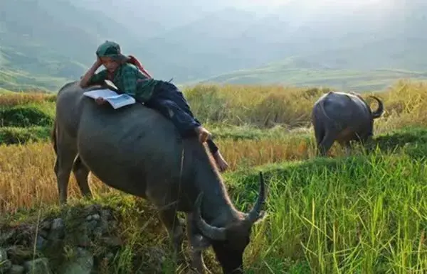 Study position is important in order to maximize a potential IB grade