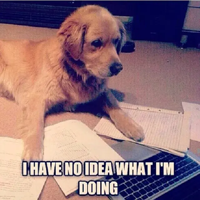 Confused IB Student