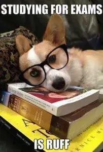 Past papers and mark schemes